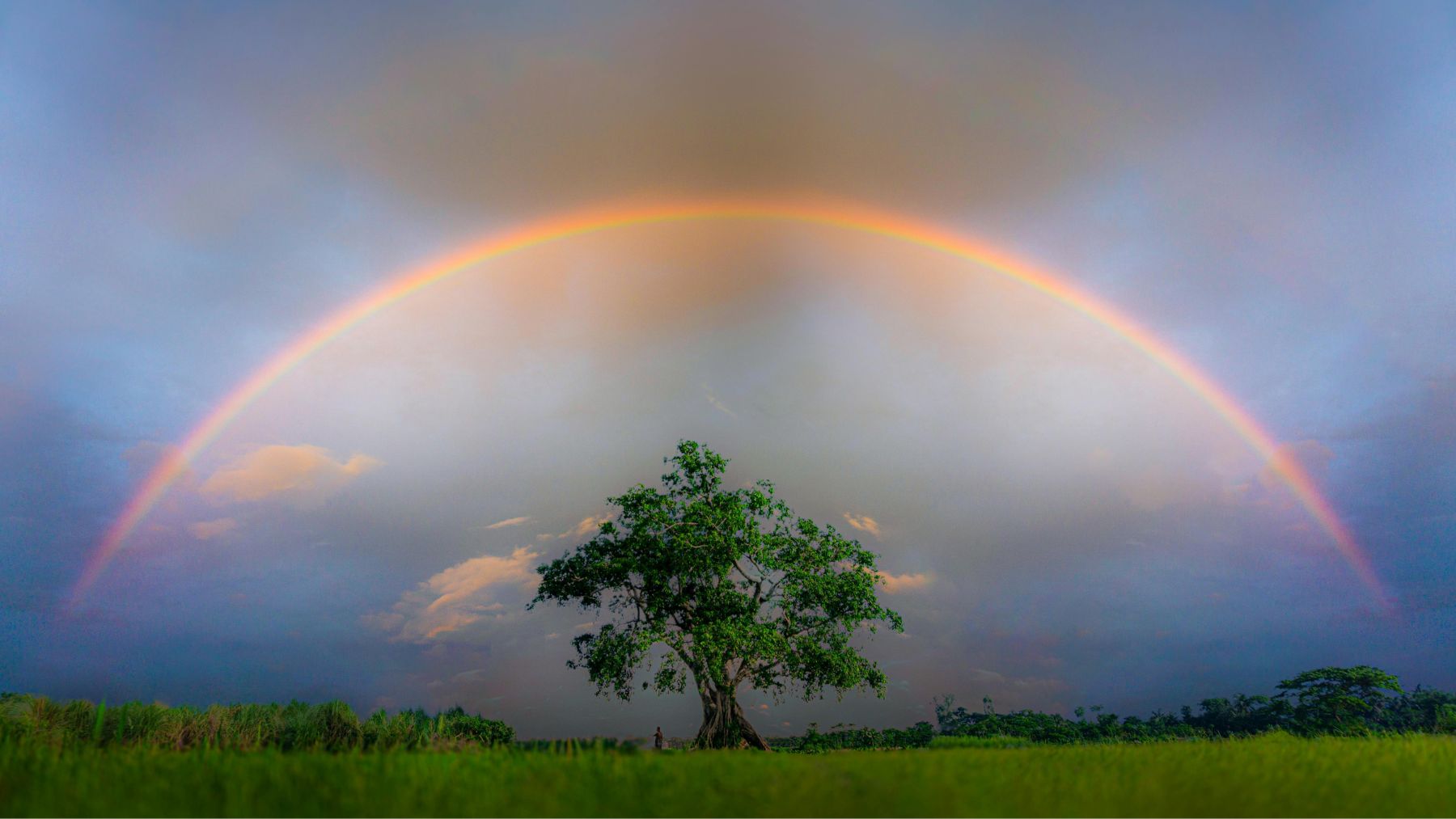 What is A Skeptic’s Path to Enlightenment?