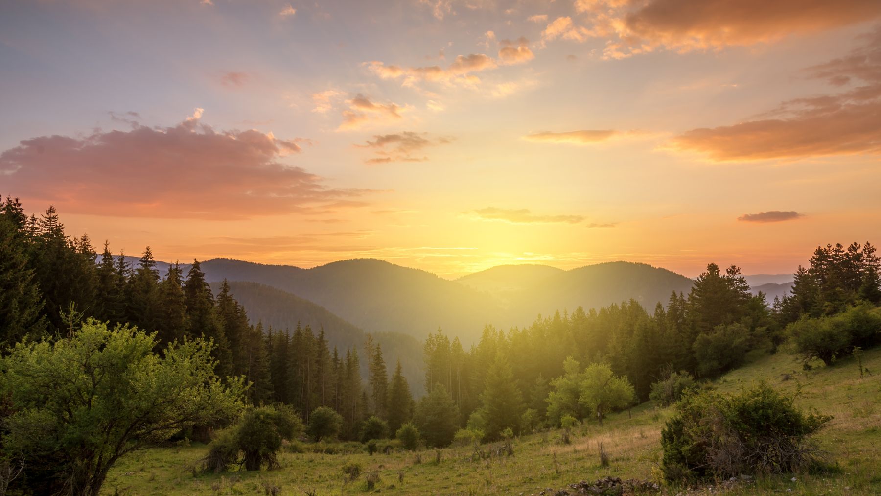 Finding Refuge in the Mind—A Guided Meditation #112