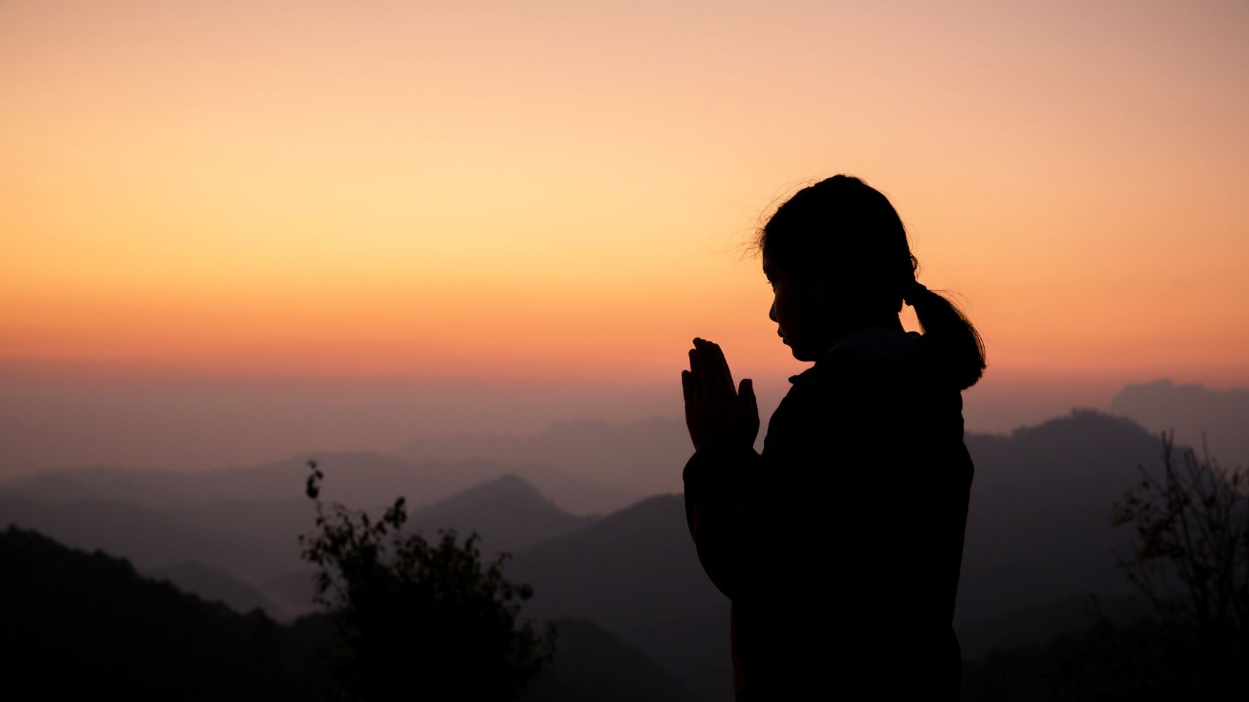 Guided Meditation: Compassion through Looking Inside #133