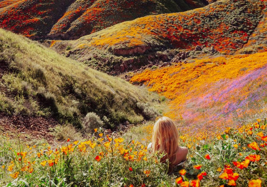 woman in superbloom field